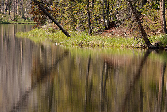 _RLH1575-2-2