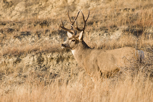 IMG_2687